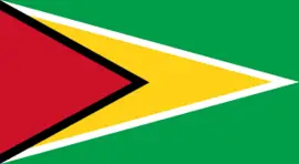 Guyana flag