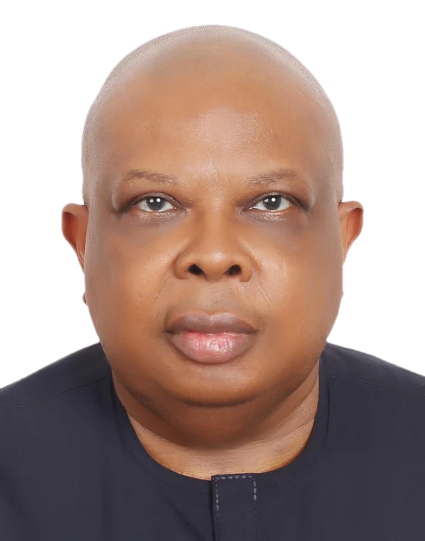 H.E. Mr. Joseph Olasunkanmi Tegbe